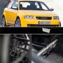 Clubsport Set - Strebe mit Netz für Audi A3 / S3 8L